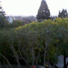 2012-01-24_17-31-23_981 2012-01-24_17-31-23_981