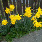 2012-02-28_17-41-43_995 2012-02-28_17-41-43_995
