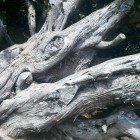 2012-03-26_16-38-35_477 2012-03-26_16-38-35_477