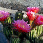 2012-05-06_19-09-02_573 2012-05-06_19-09-02_573