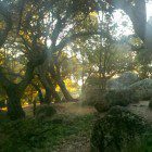 2012-09-09_18-57-02_411