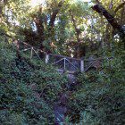 2012-12-27_10-01-21_497
