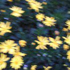 IMG_20130317_191058_044