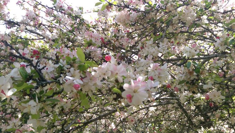 She Doesn’t Like Surprises