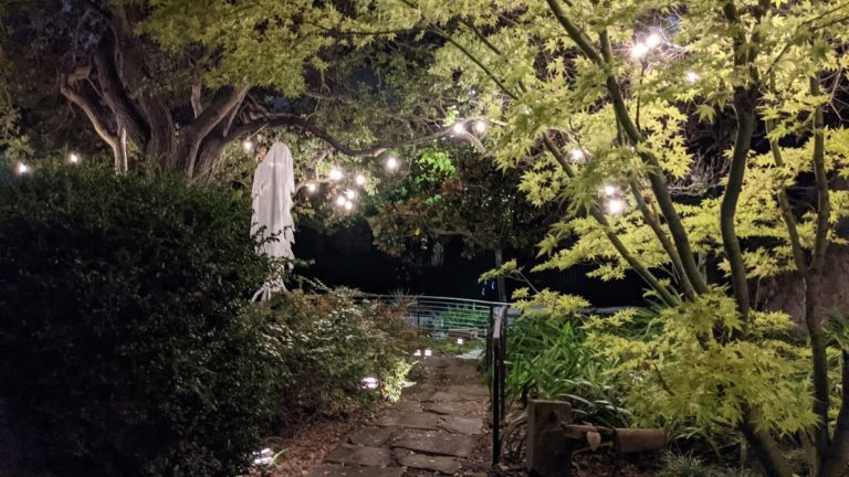 The Lonely Reader Recommends