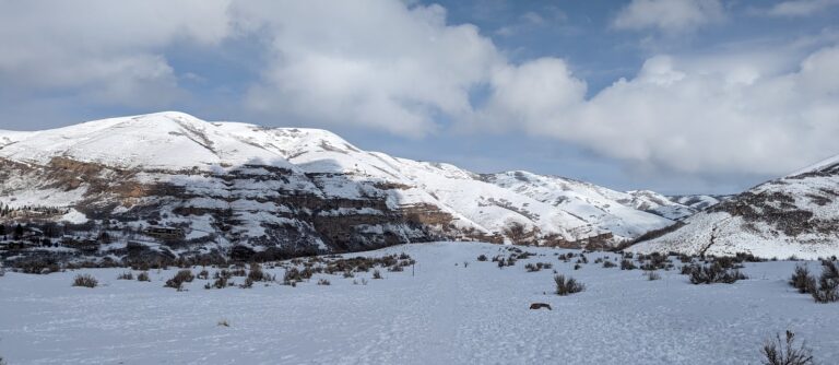 Meditations: Reading