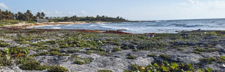 Building Our Reserves