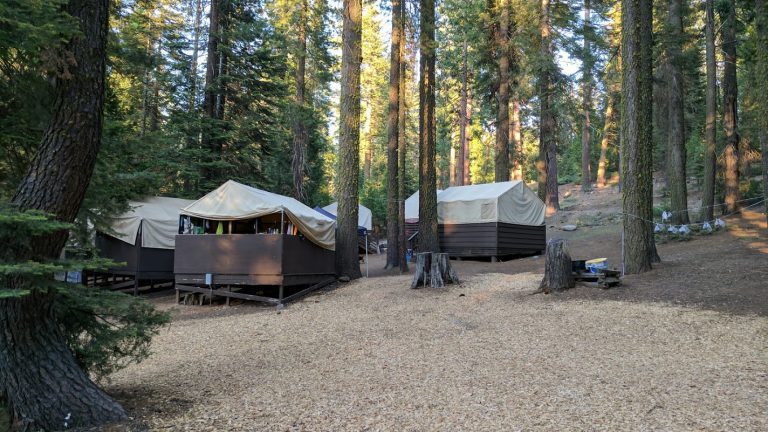 My Children Far, and Near